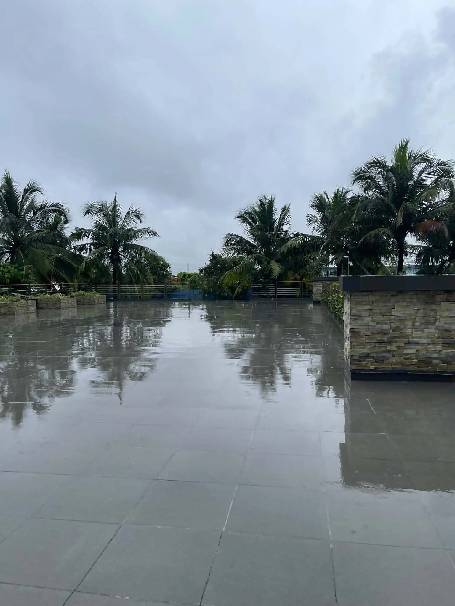 Wet rooftop deck area with palm trees at Azure North