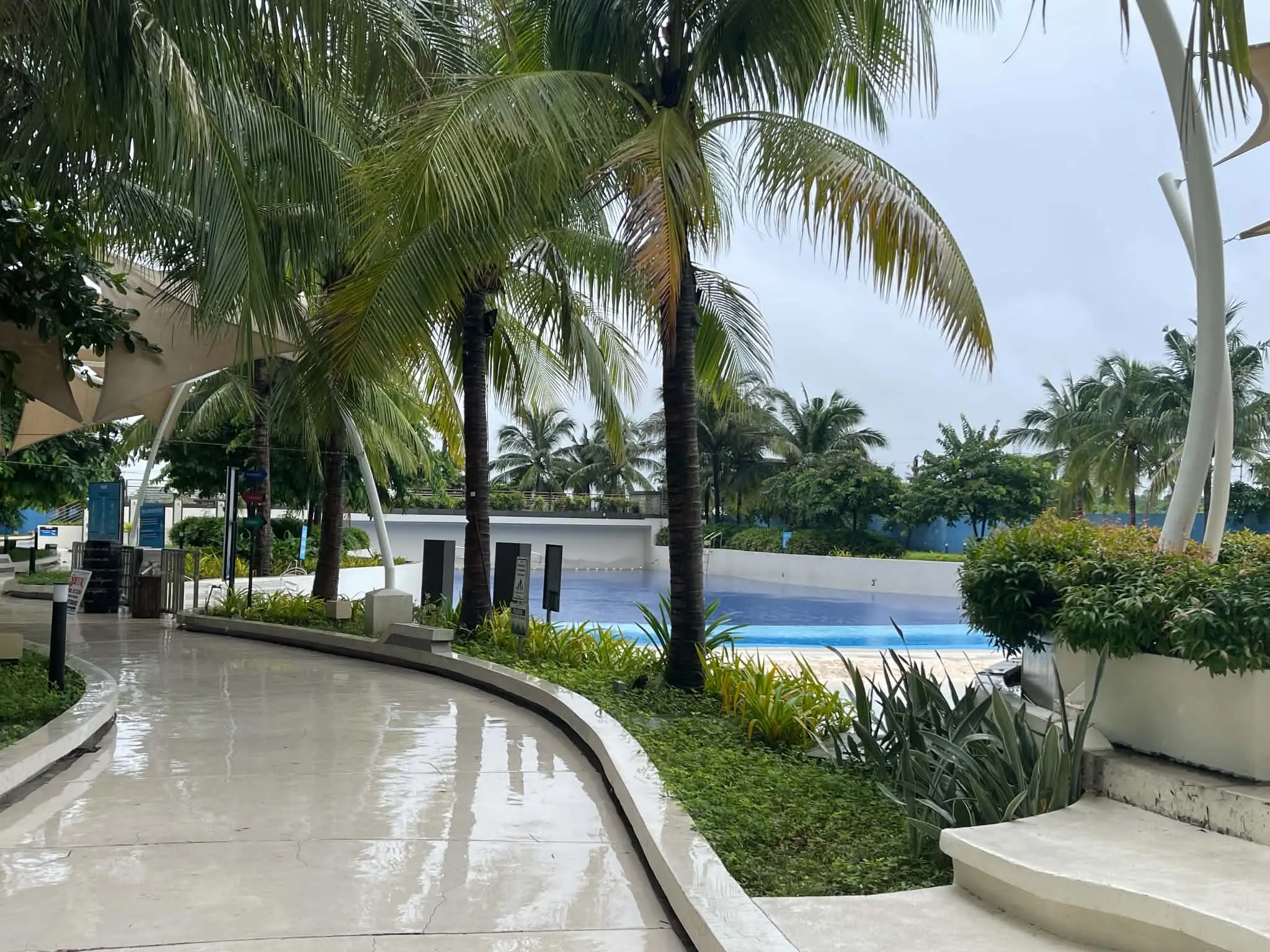 Palm-lined pathway beside the pool at Azure North